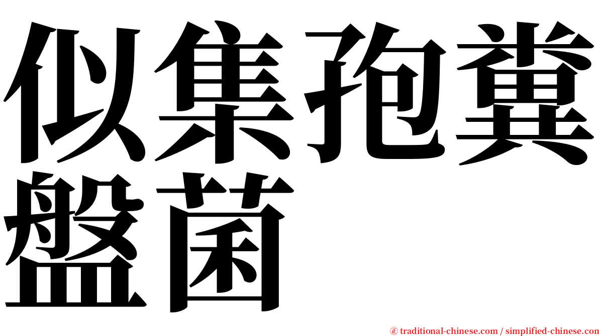 似集孢糞盤菌 serif font