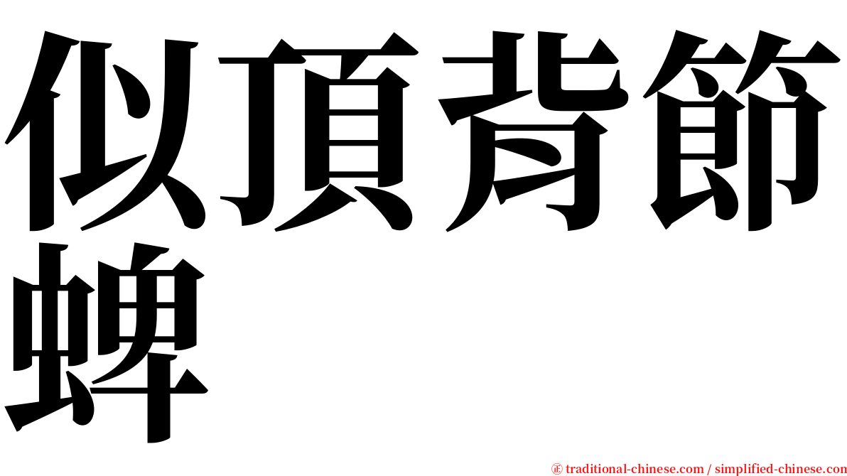 似頂背節蜱 serif font