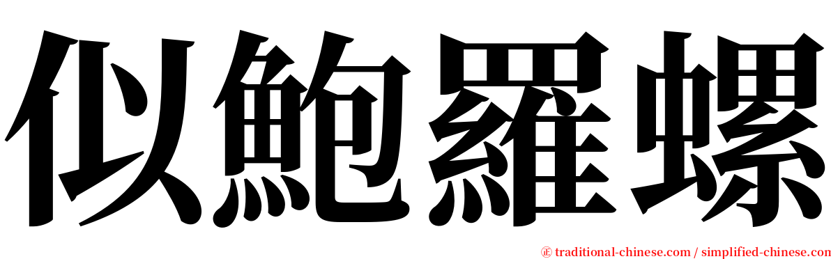 似鮑羅螺 serif font