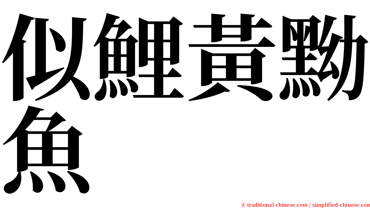 似鯉黃黝魚 serif font