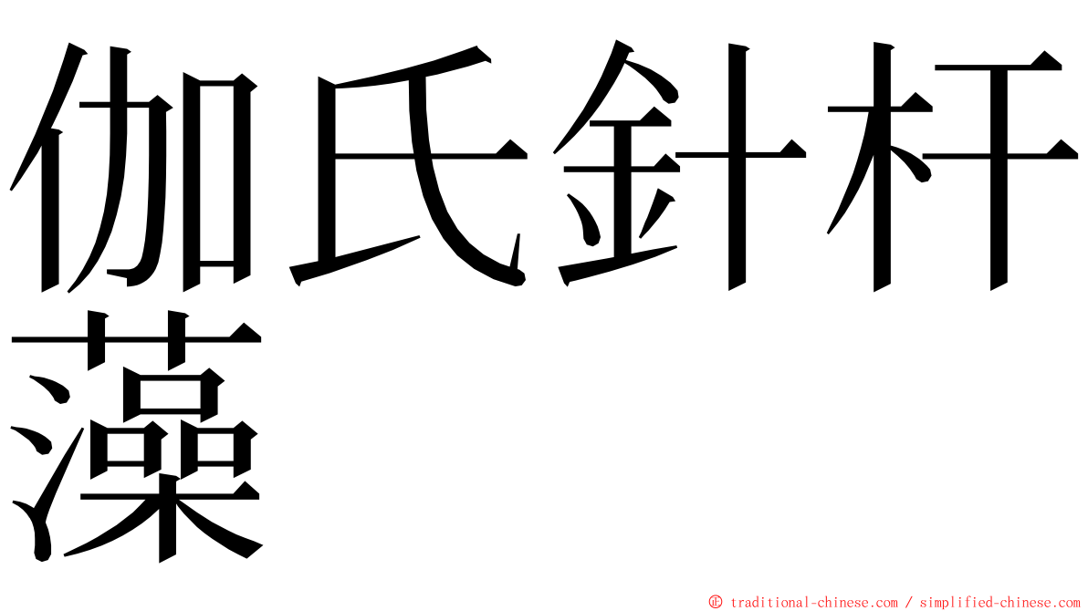 伽氏針杆藻 ming font