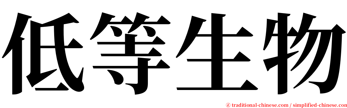 低等生物 serif font