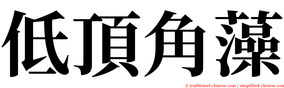 低頂角藻 serif font