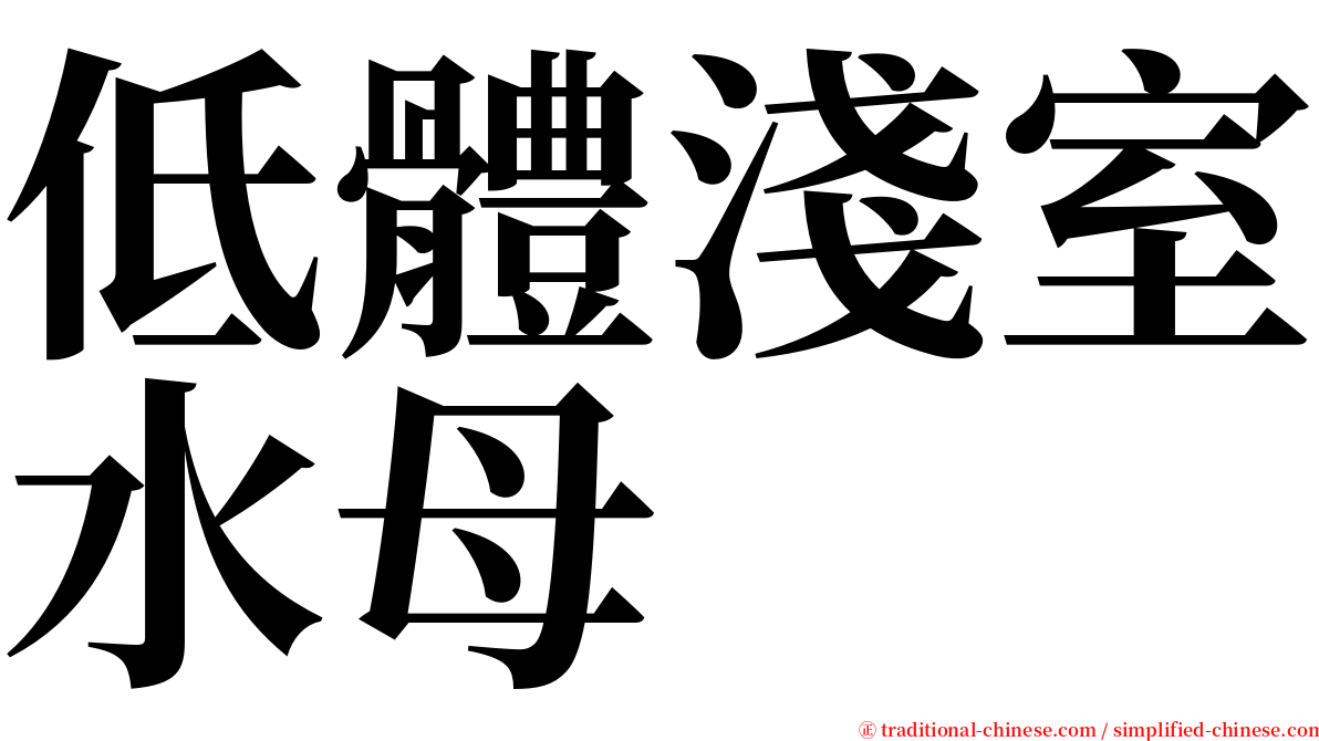 低體淺室水母 serif font