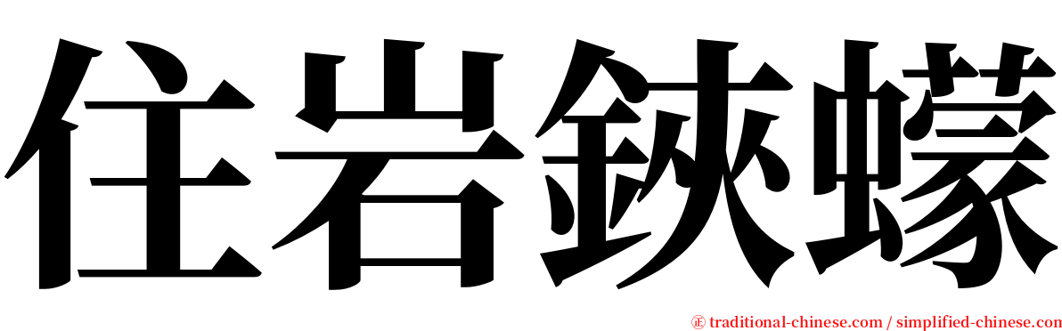 住岩鋏蠓 serif font