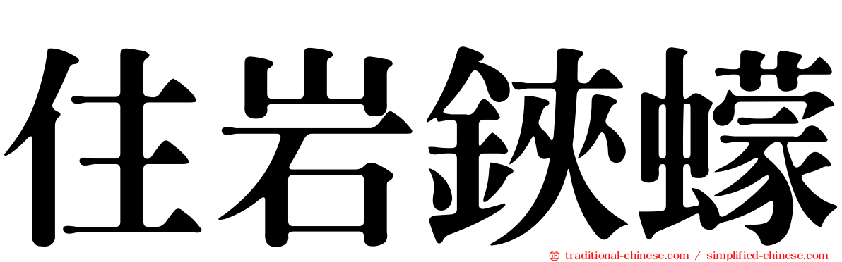 住岩鋏蠓