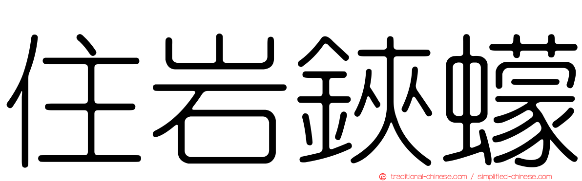 住岩鋏蠓