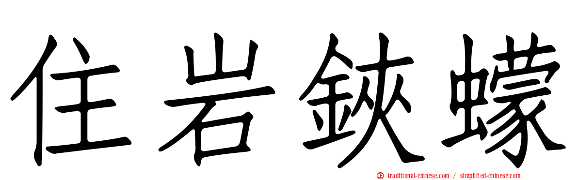 住岩鋏蠓