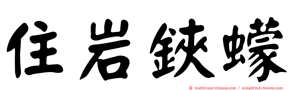 住岩鋏蠓