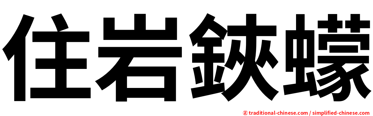 住岩鋏蠓