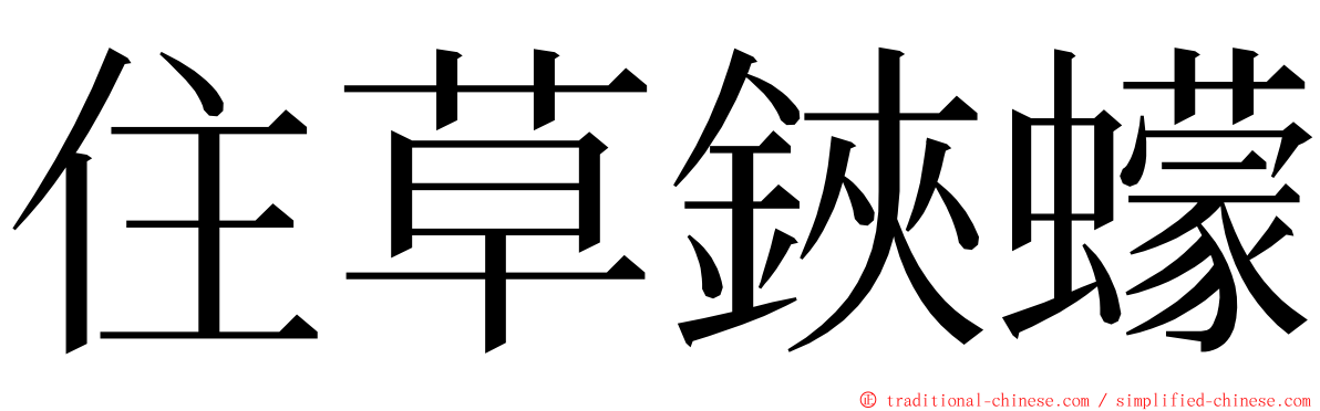 住草鋏蠓 ming font