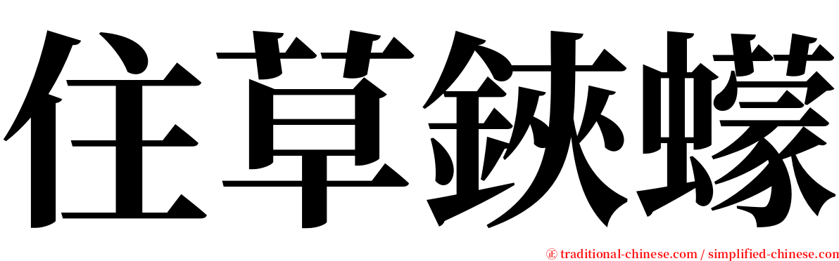 住草鋏蠓 serif font