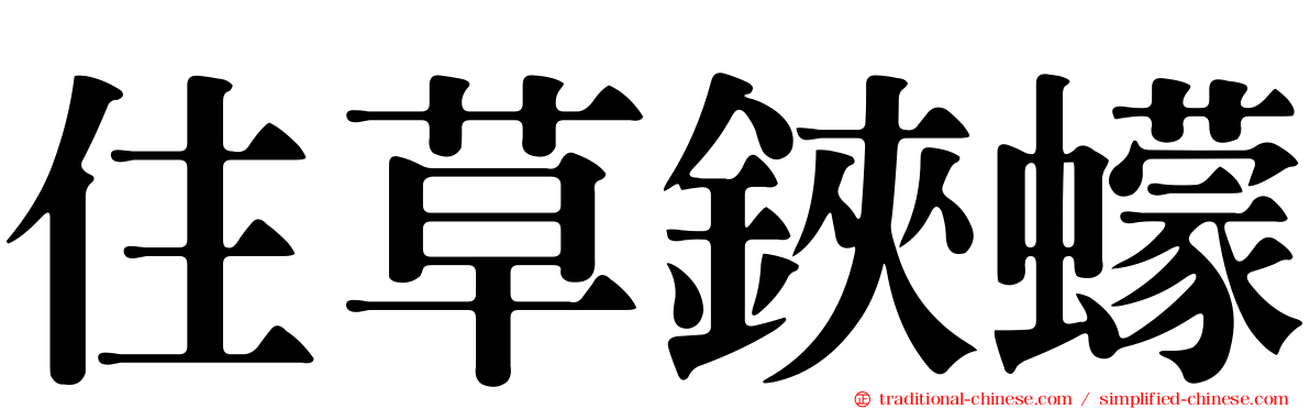 住草鋏蠓