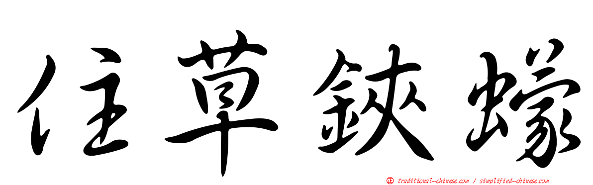 住草鋏蠓