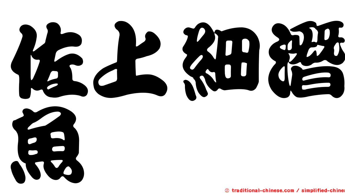 佐上細潛魚
