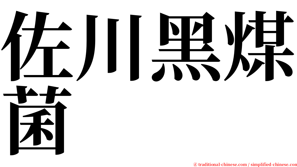 佐川黑煤菌 serif font