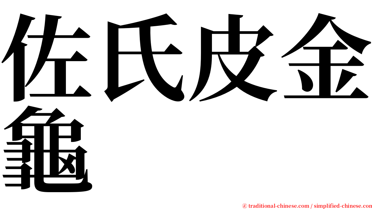 佐氏皮金龜 serif font