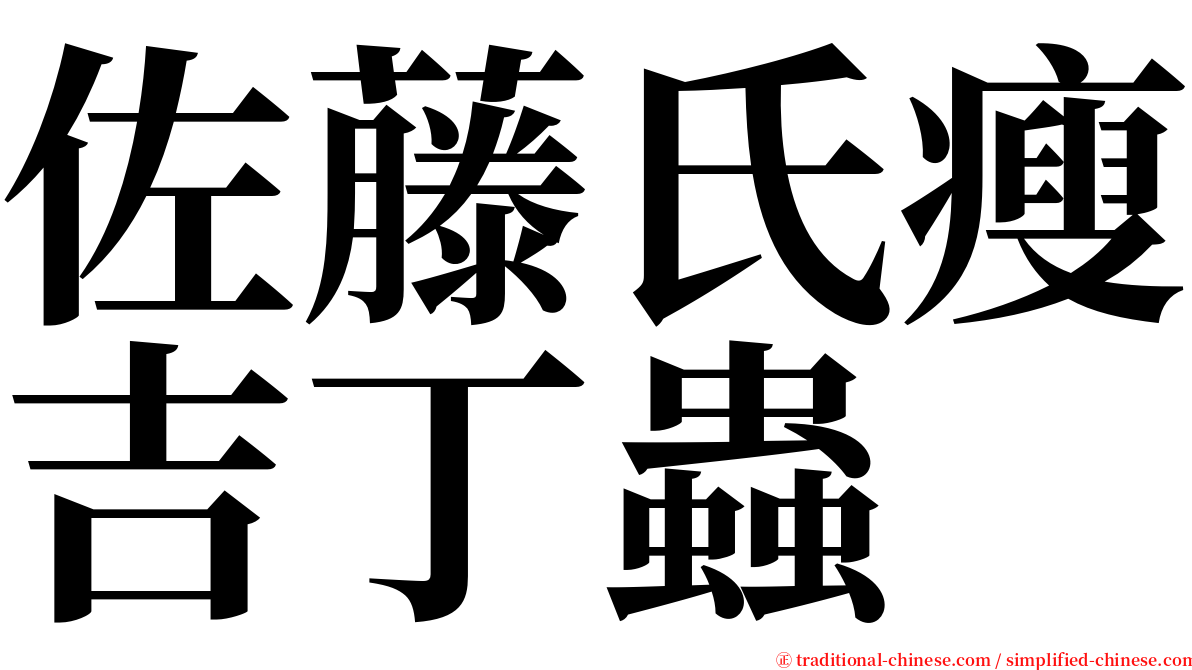 佐藤氏瘦吉丁蟲 serif font