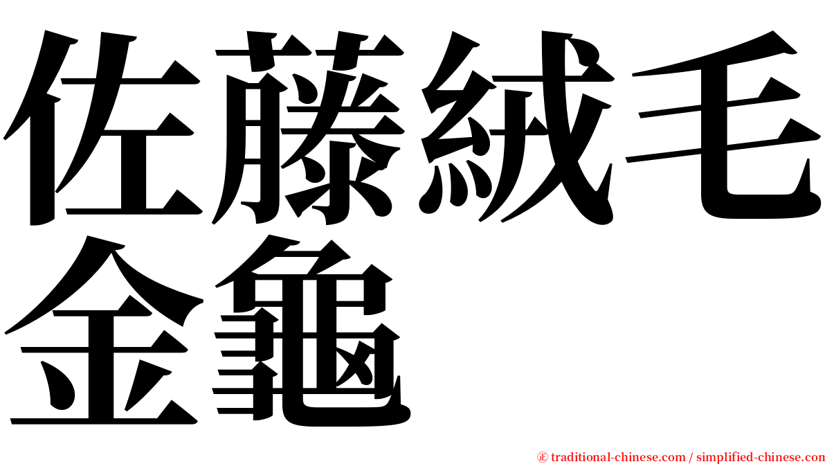 佐藤絨毛金龜 serif font