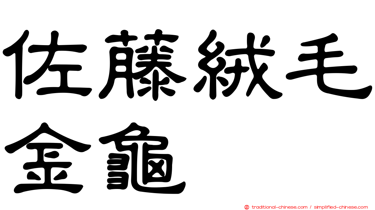 佐藤絨毛金龜