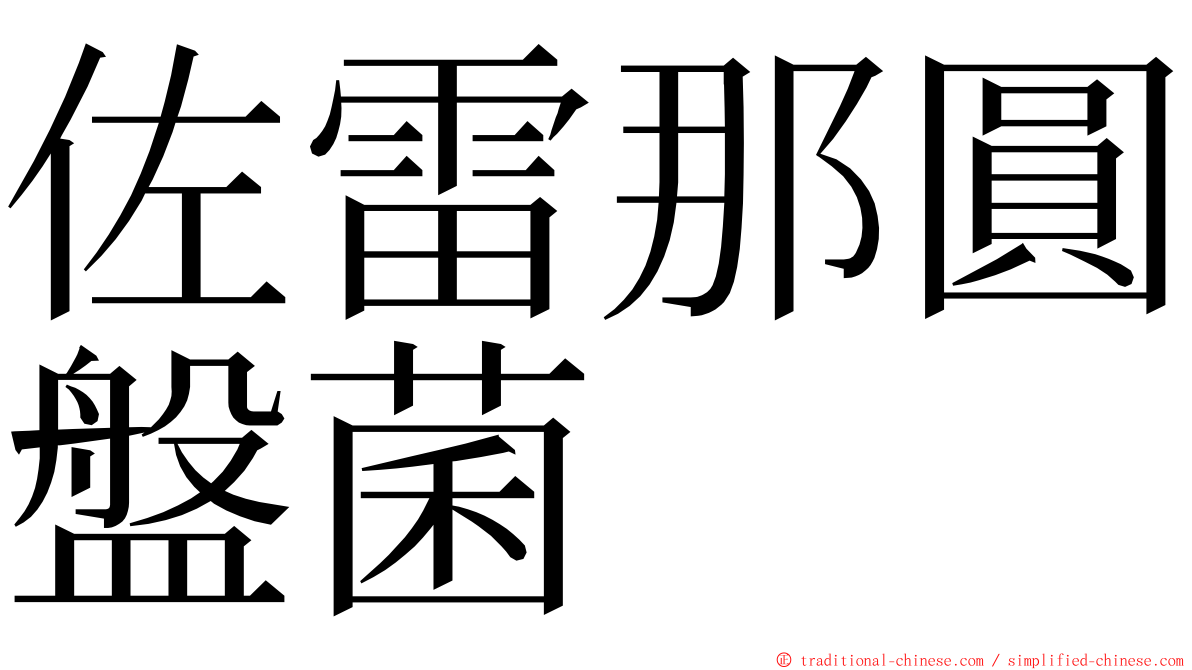 佐雷那圓盤菌 ming font