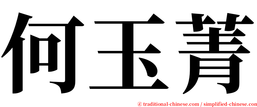 何玉菁 serif font
