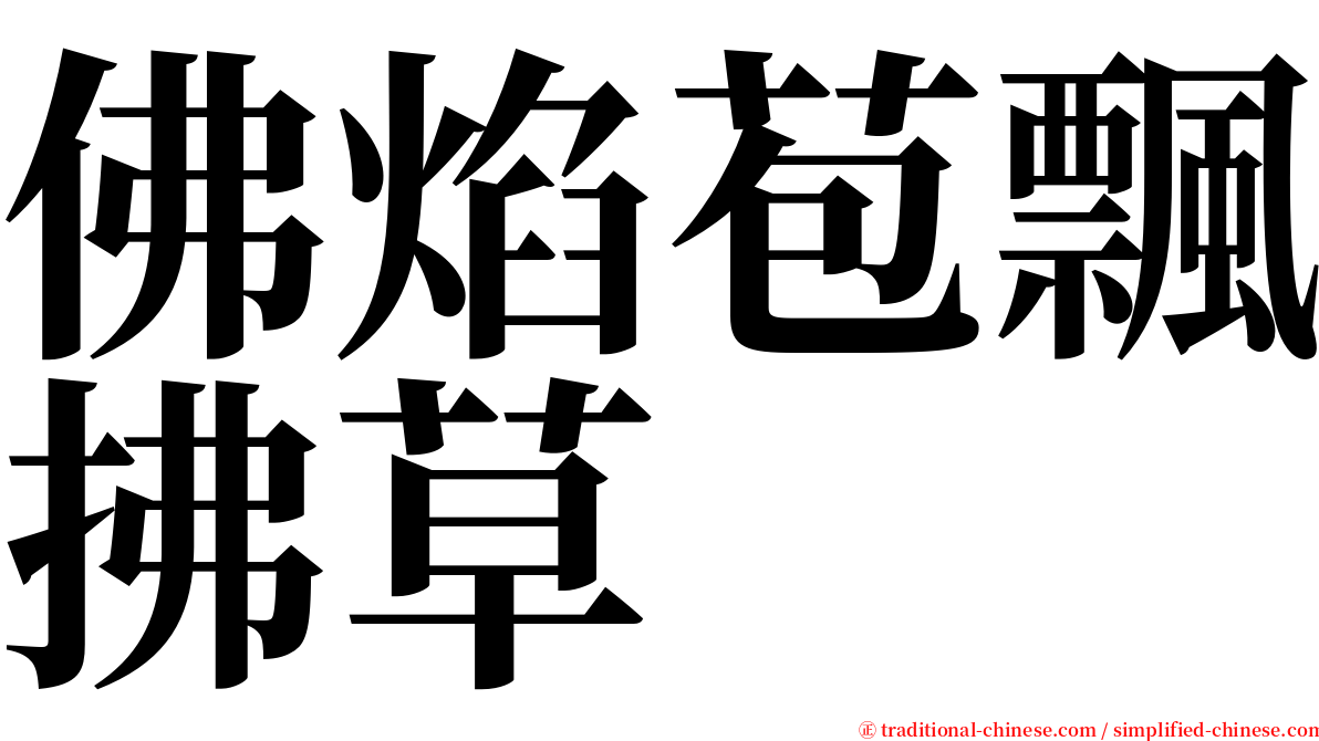 佛焰苞飄拂草 serif font