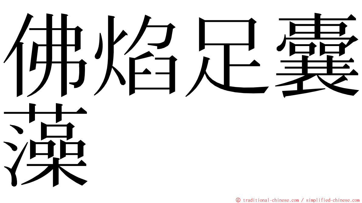 佛焰足囊藻 ming font