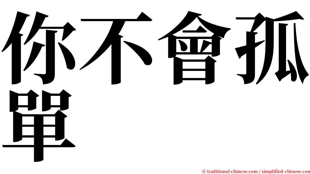 你不會孤單 serif font