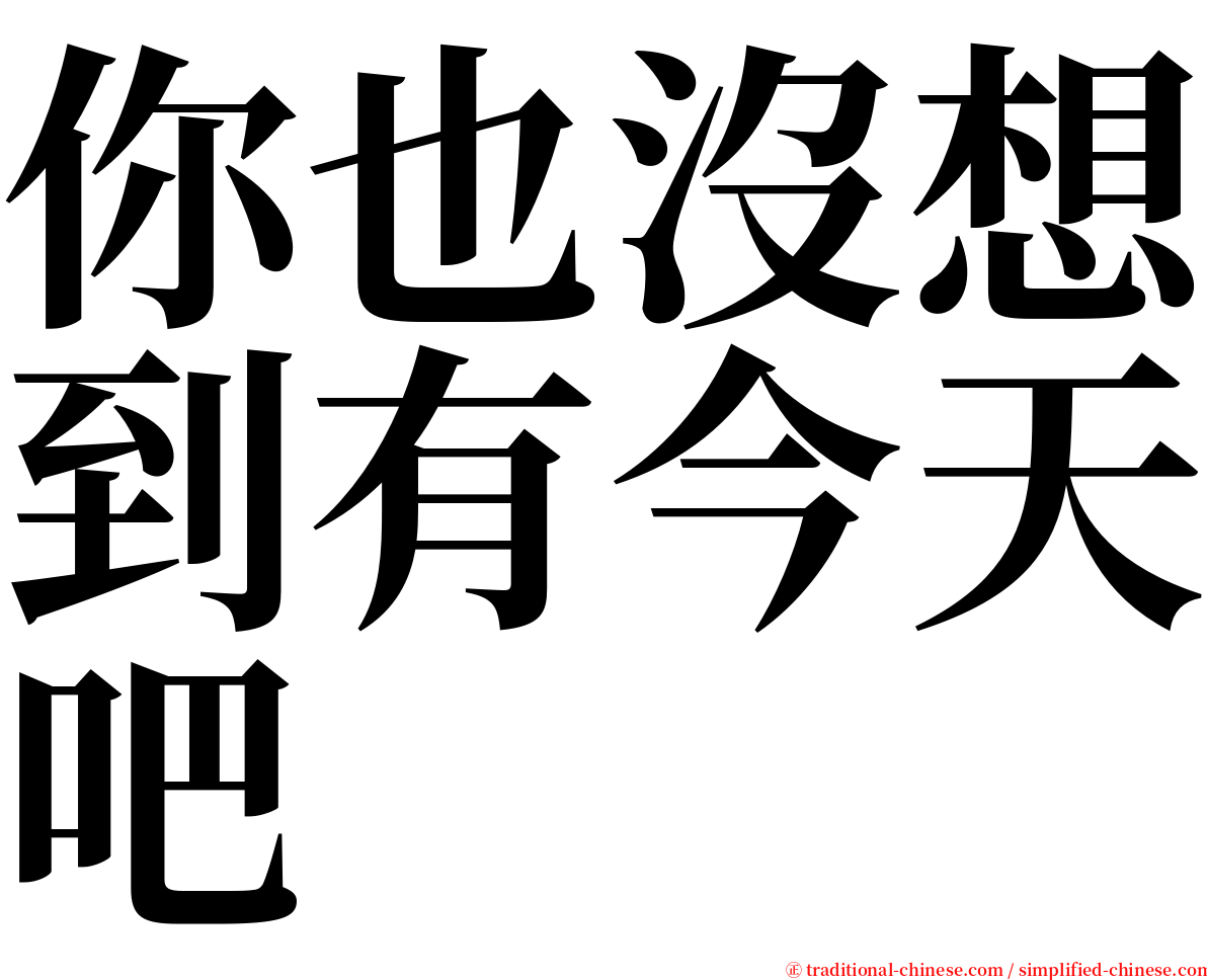 你也沒想到有今天吧 serif font