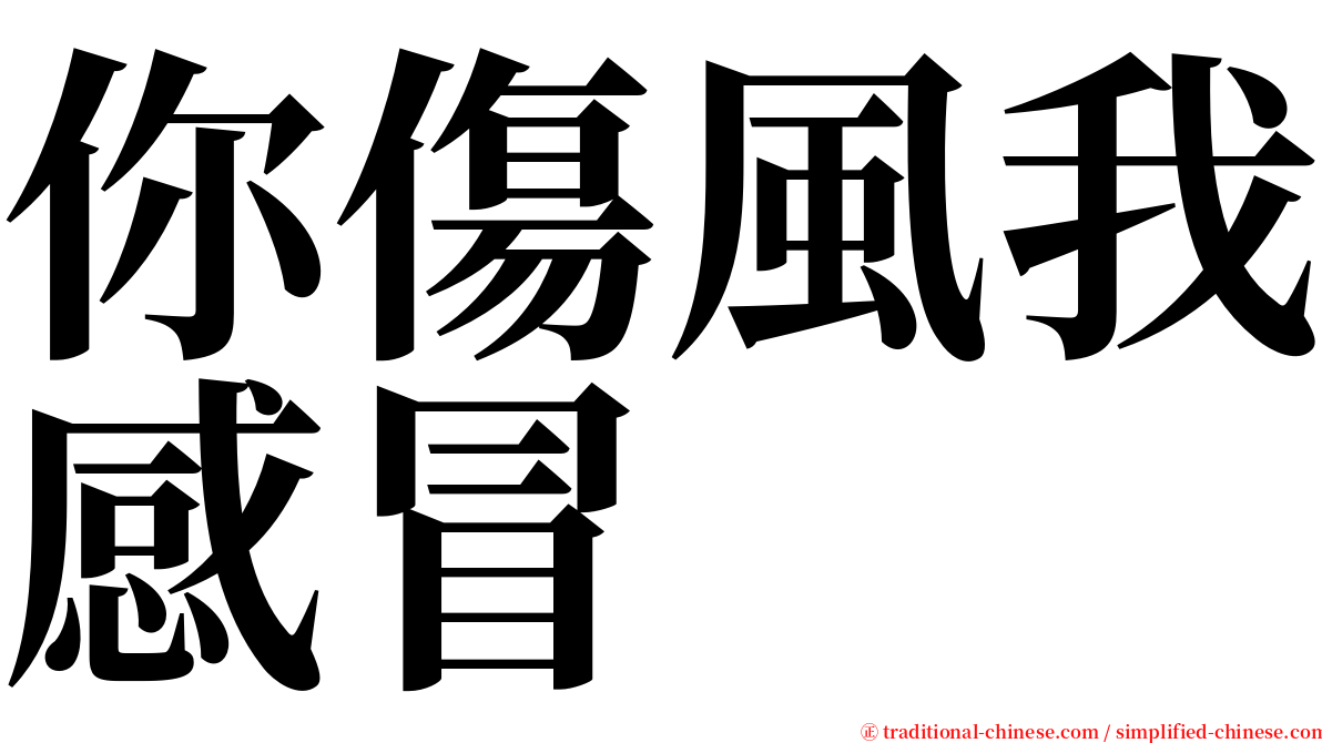 你傷風我感冒 serif font