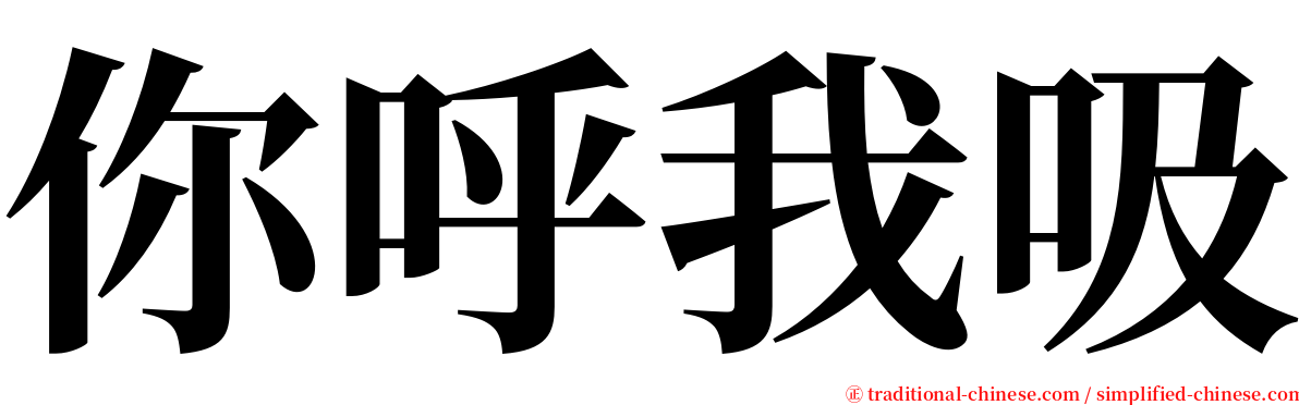 你呼我吸 serif font