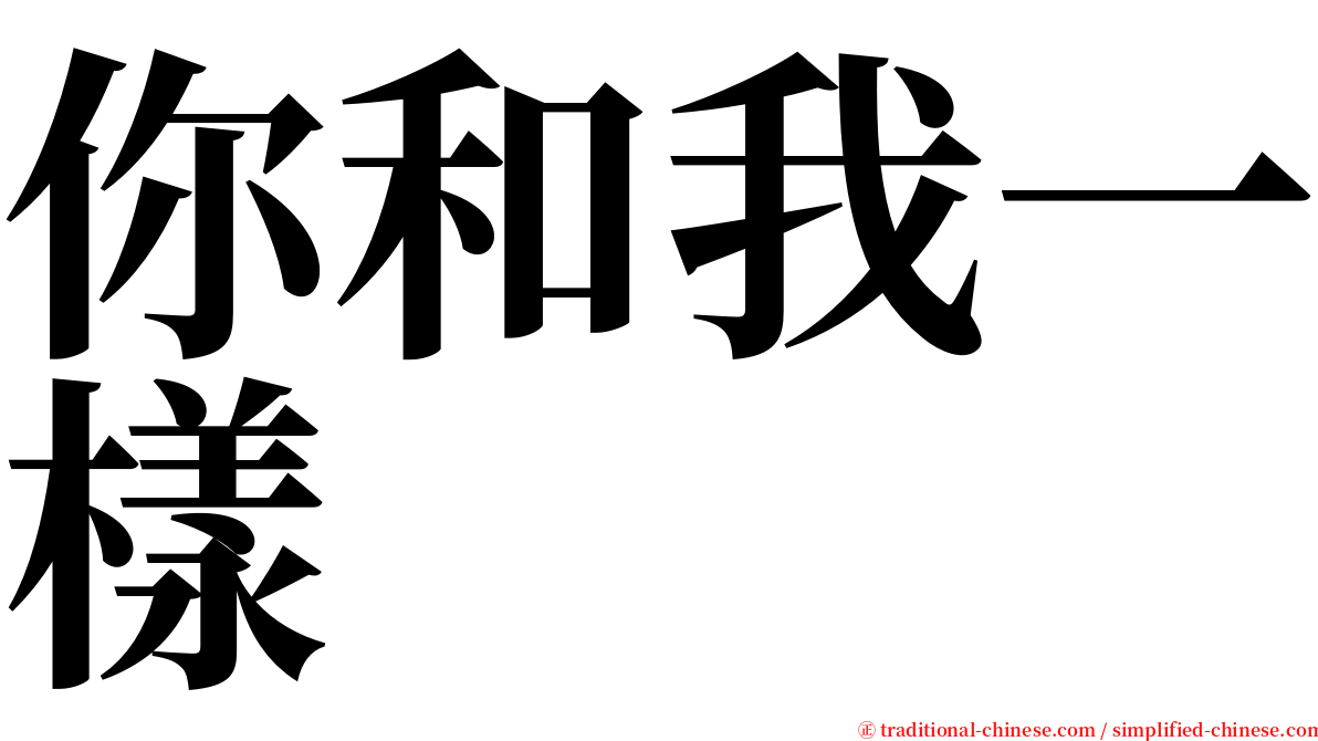 你和我一樣 serif font