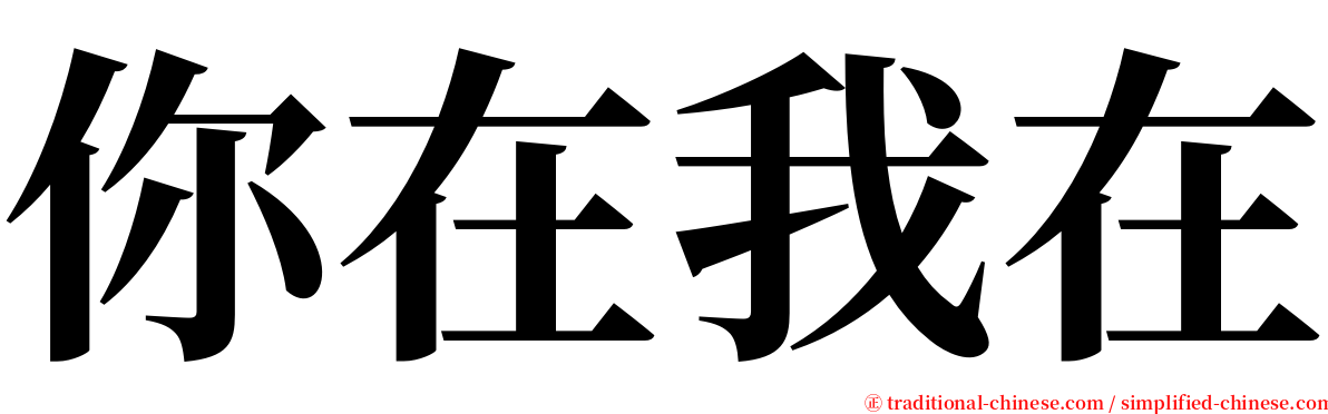 你在我在 serif font