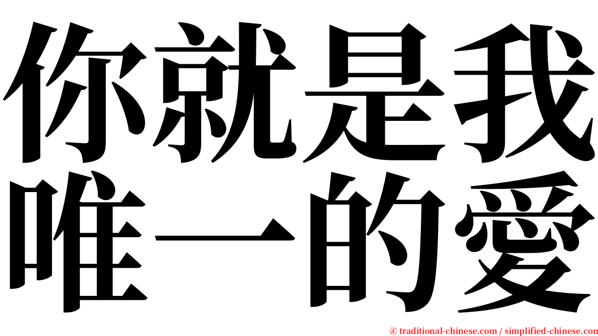 你就是我唯一的愛 serif font