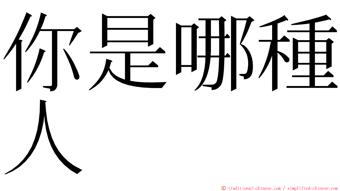 你是哪種人 ming font