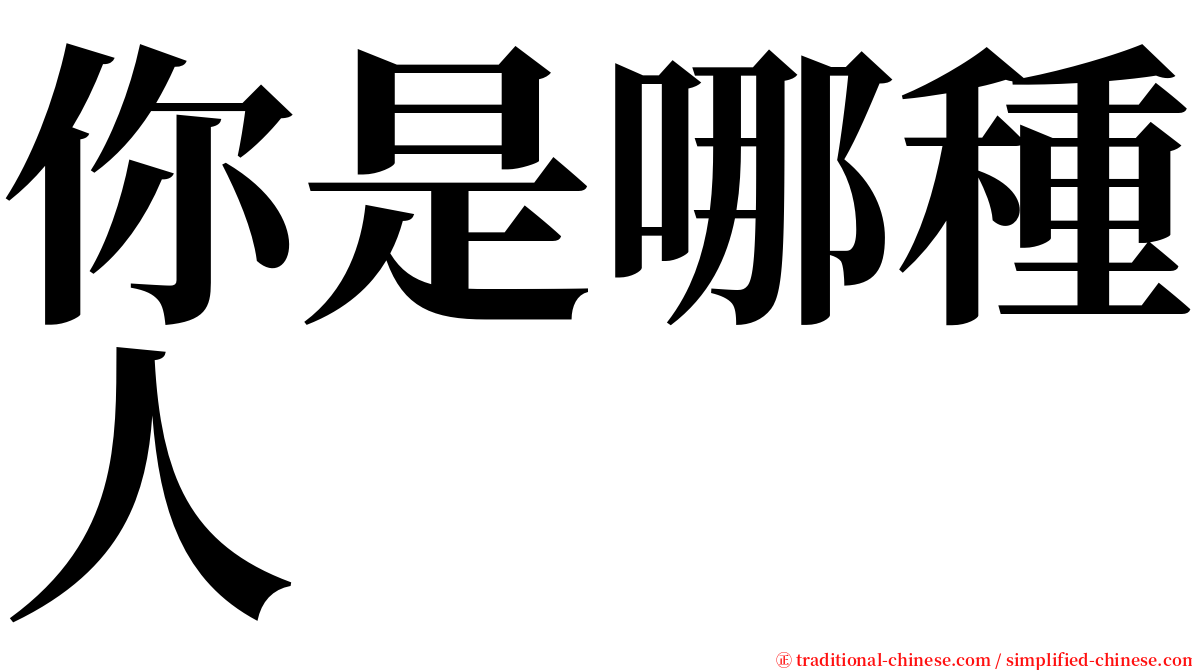 你是哪種人 serif font