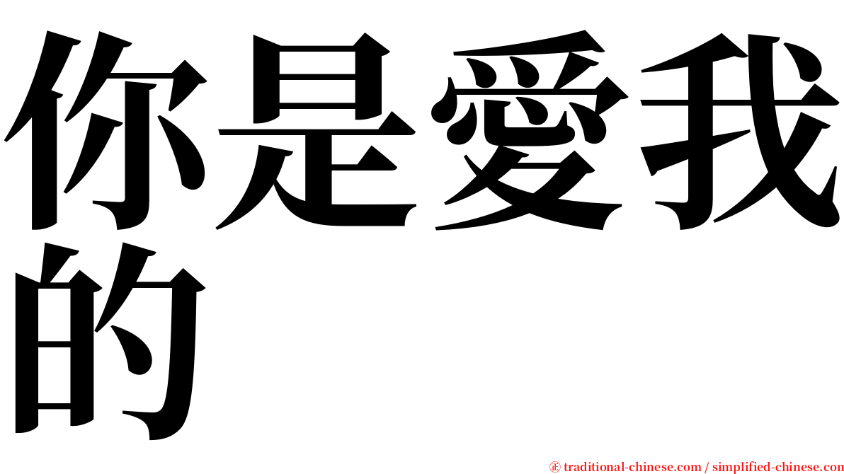 你是愛我的 serif font