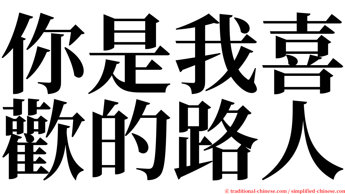 你是我喜歡的路人 serif font