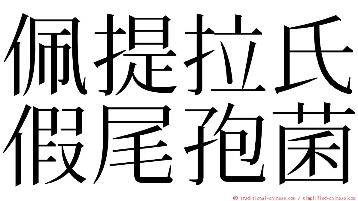 佩提拉氏假尾孢菌 ming font