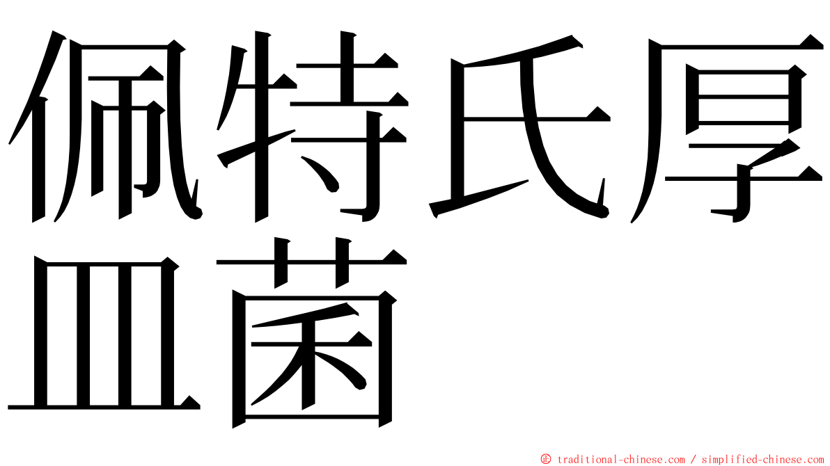 佩特氏厚皿菌 ming font