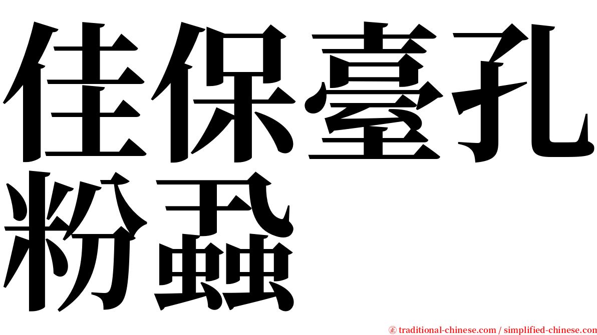 佳保臺孔粉蝨 serif font