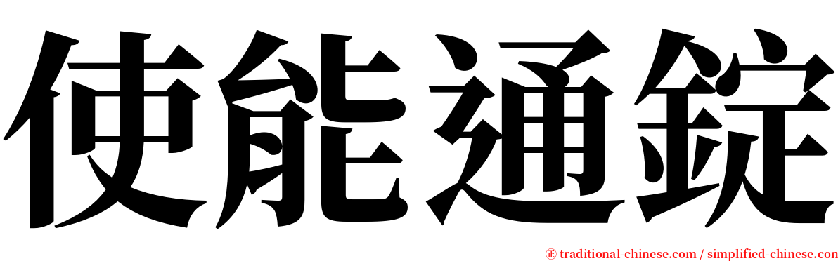 使能通錠 serif font