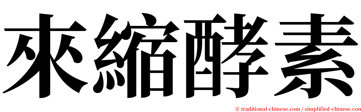 來縮酵素 serif font