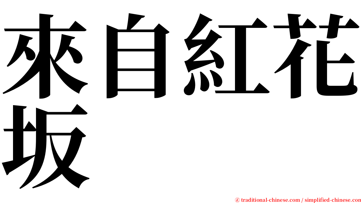 來自紅花坂 serif font