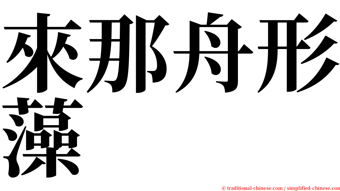 來那舟形藻 serif font