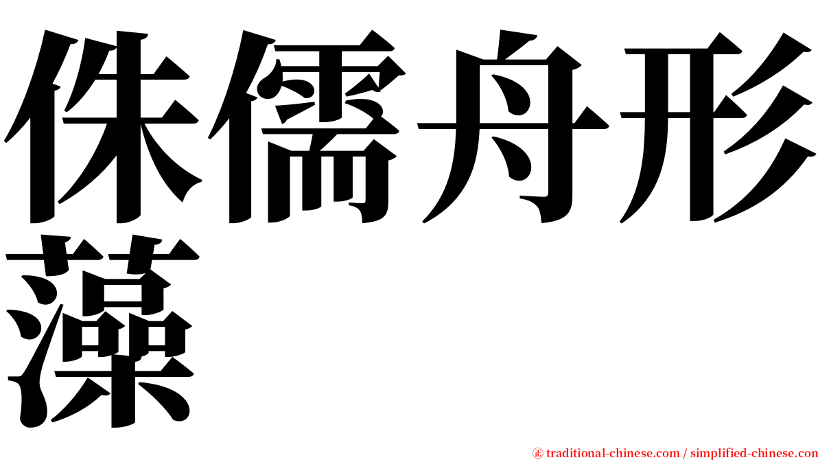 侏儒舟形藻 serif font