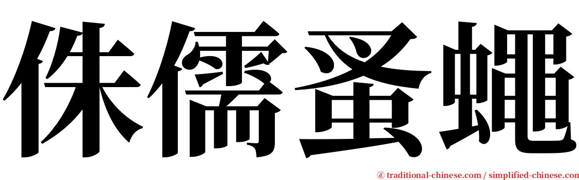 侏儒蚤蠅 serif font