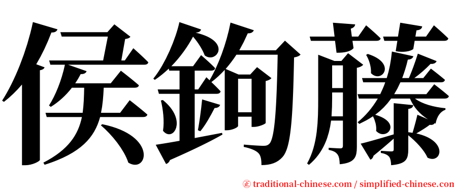 侯鉤藤 serif font