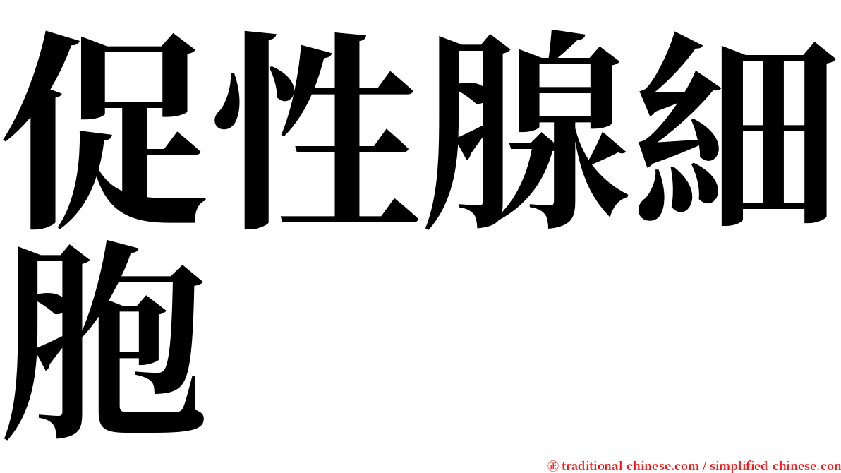 促性腺細胞 serif font